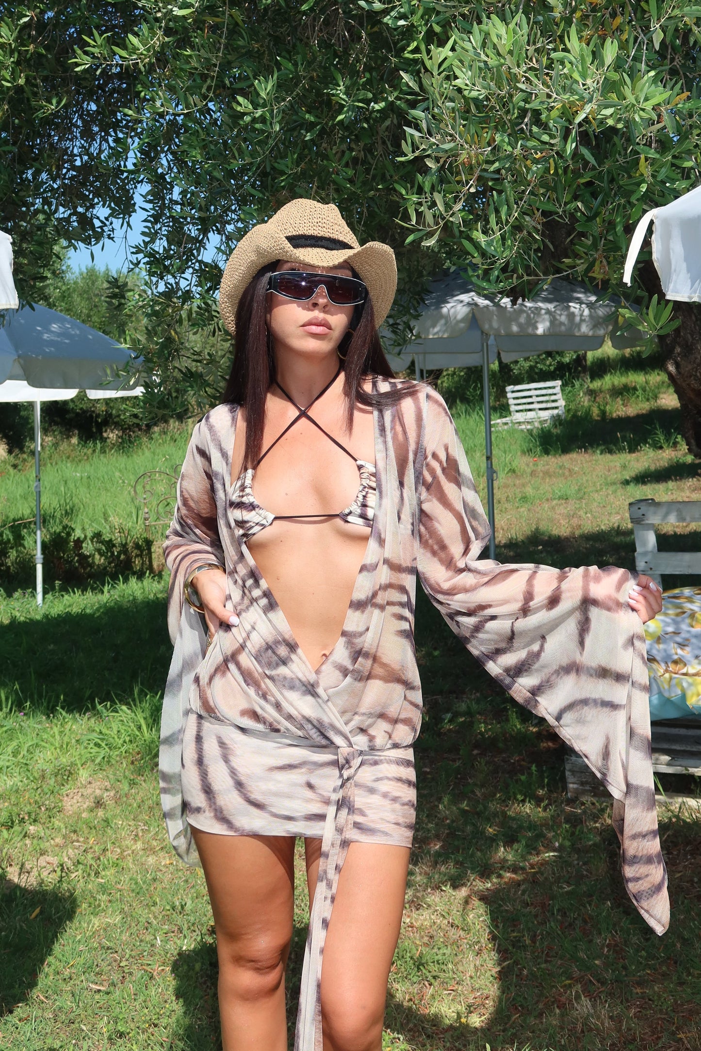 Set Zebra